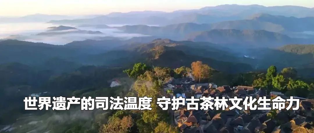 云南政法