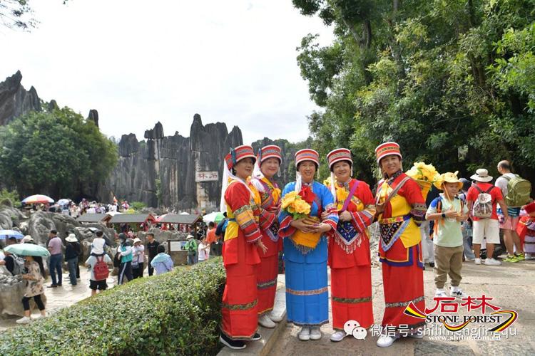 石林旅游网