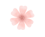 昆明西山教育体育