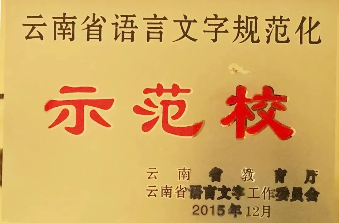 盘龙教育