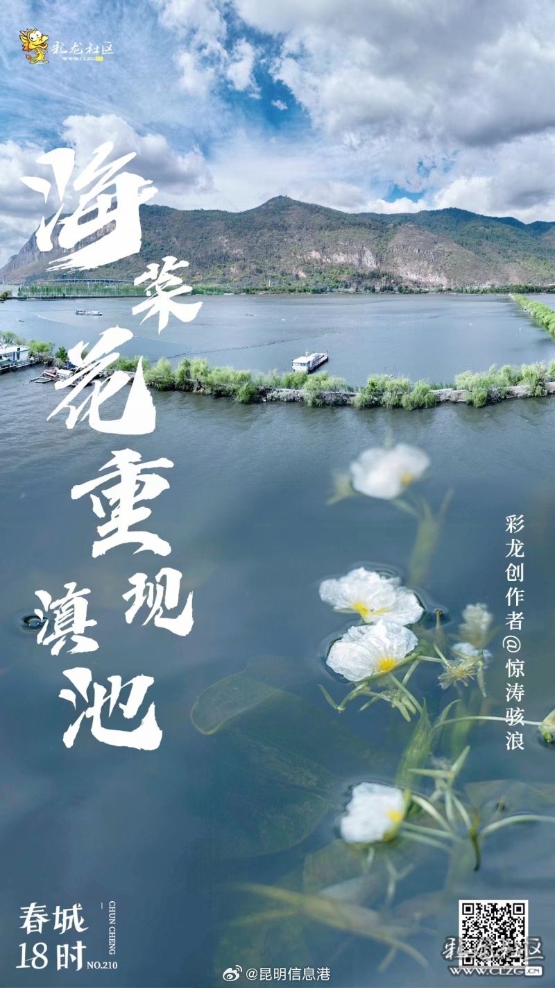 昆明信息港微博