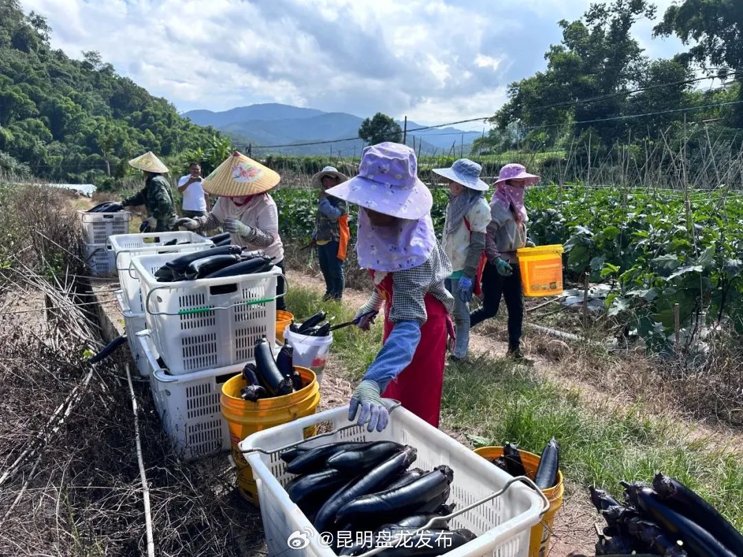 昆明盘龙发布