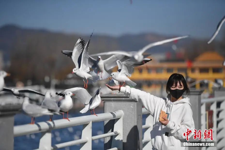晋宁诗意的栖居地