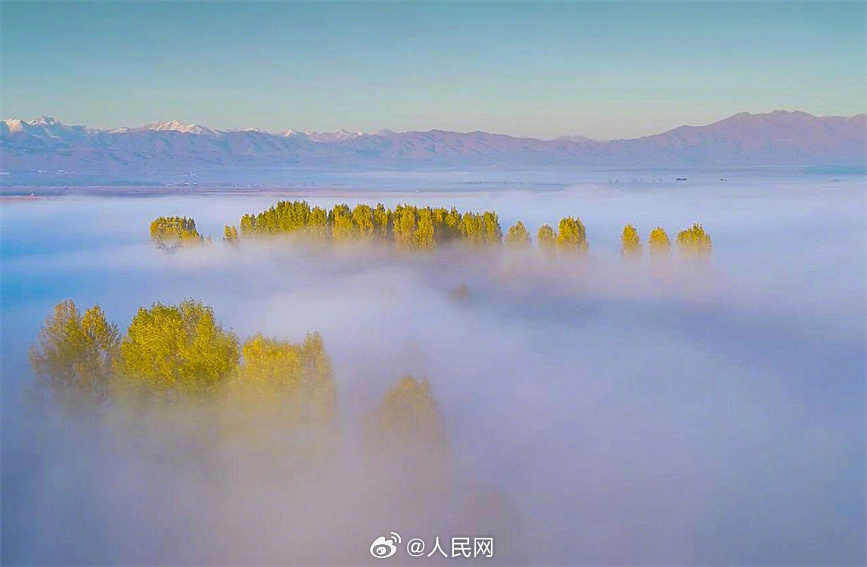 人民网