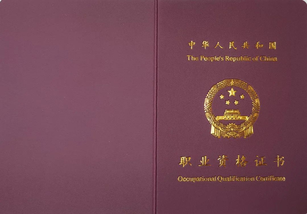 盘龙人社