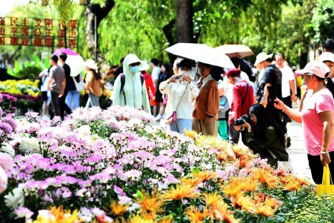 丽江日报