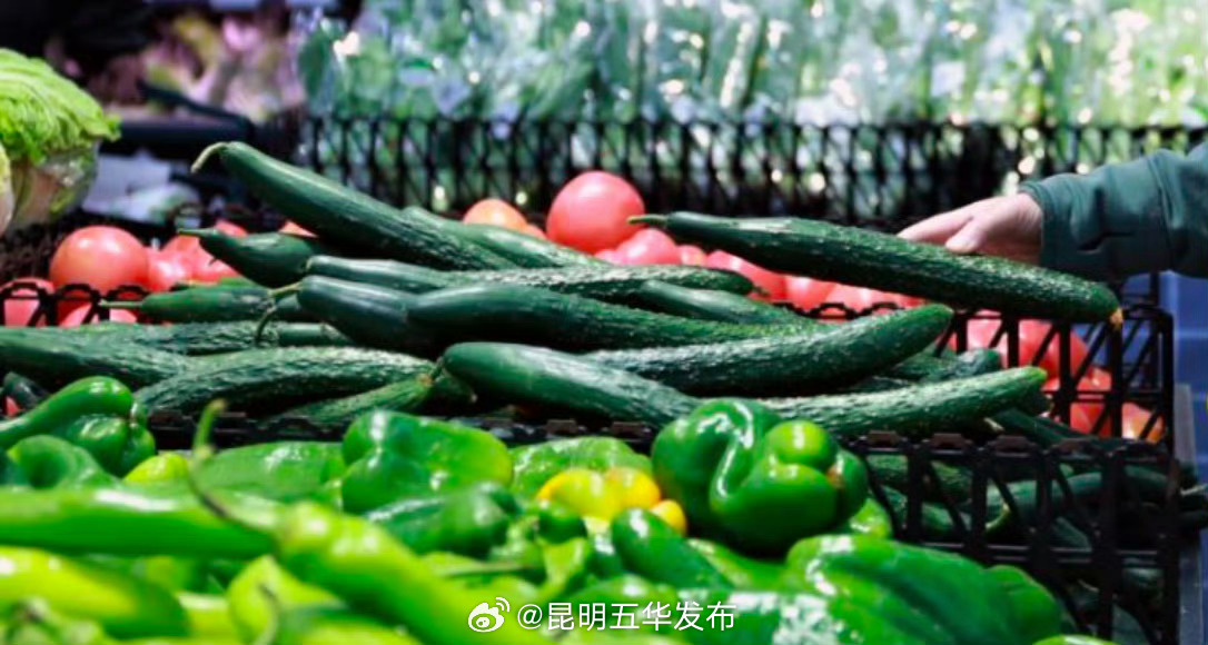 减肥饮食有5条原则