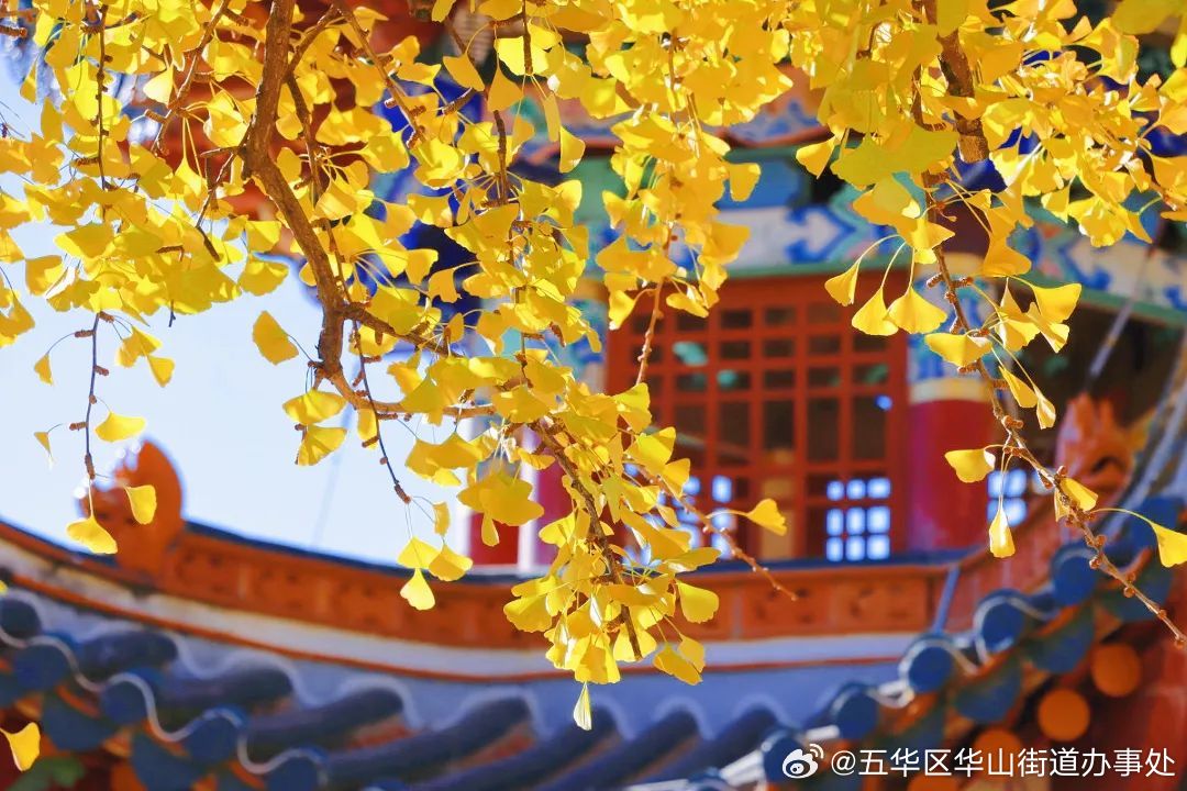 五华区华山街道办事处