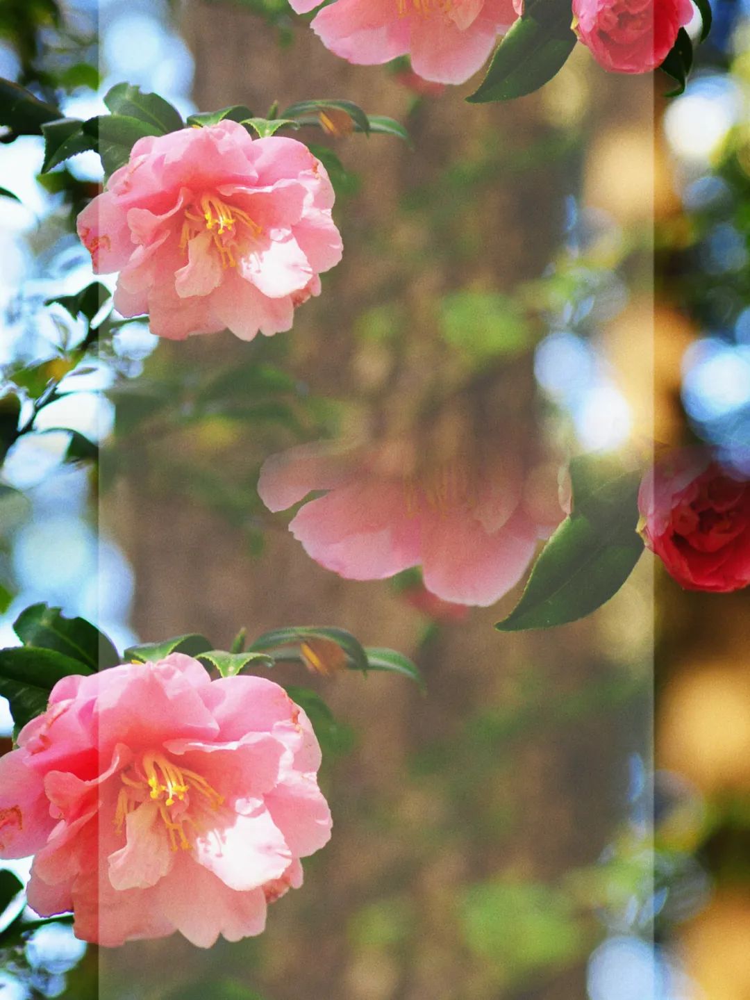 昆明市金殿名胜区