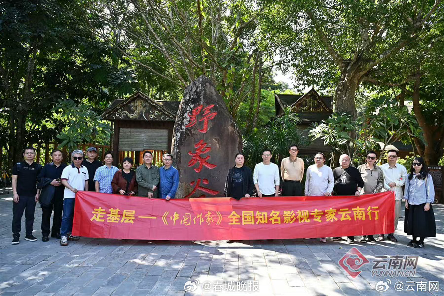 全国知名影视专家“看”云南 | 采风日记③走进西双版纳——在“象往”的地方感受“绿美”云南_http://www.mainten.cn_cns_第5张