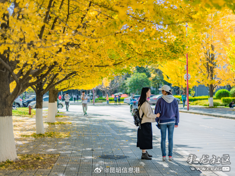 昆明信息港微博