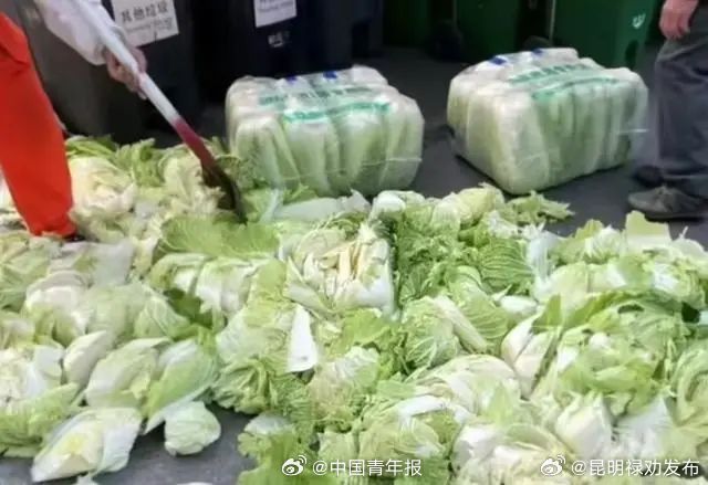 剁碎新白菜充当厨余，垃圾分类别搞“小聪明”
