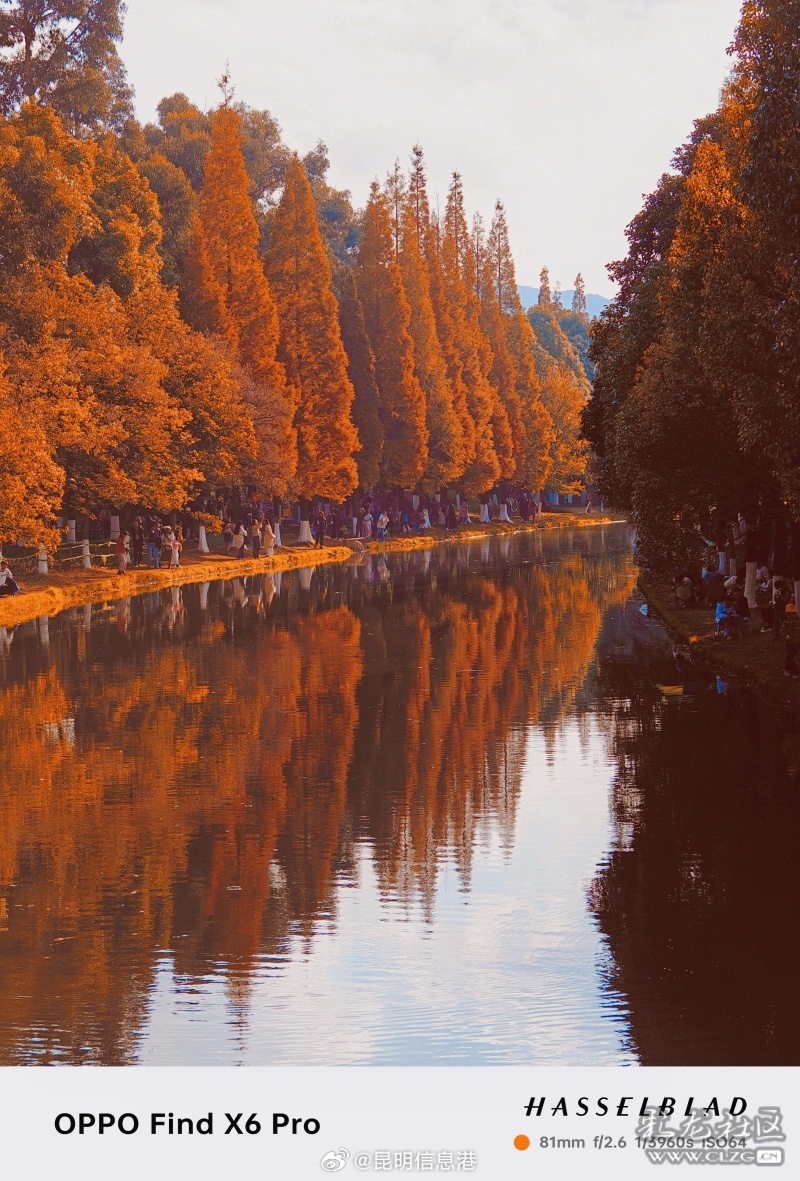 昆明信息港微博