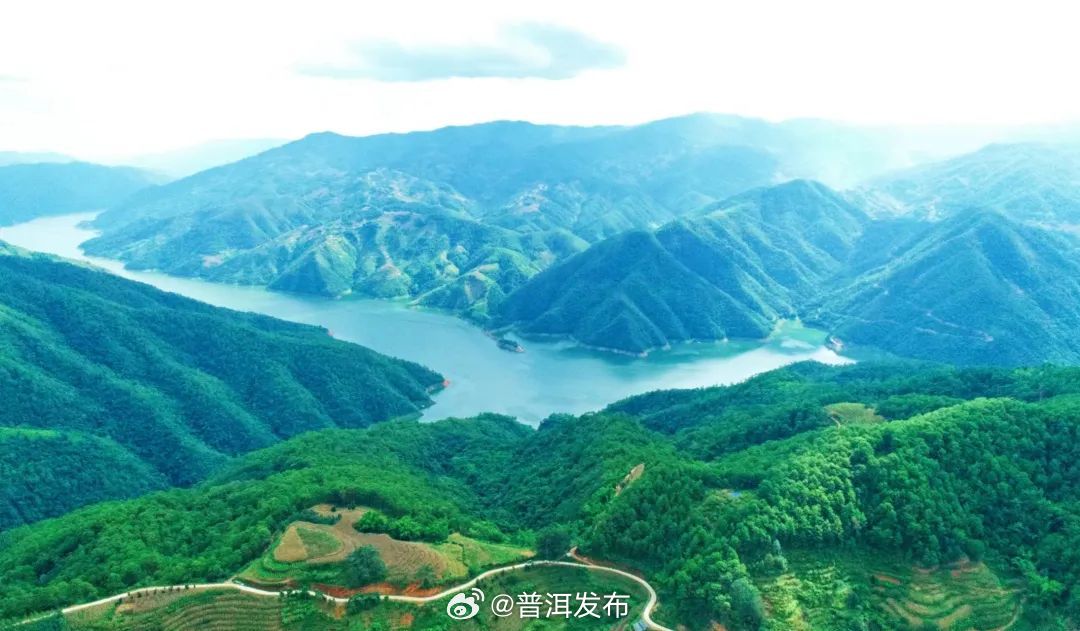 实干兴普 奋勇争先丨景谷：管绿、增绿、护绿……林长护林 厚积绿色“红利”_http://www.mainten.cn_cns_第1张