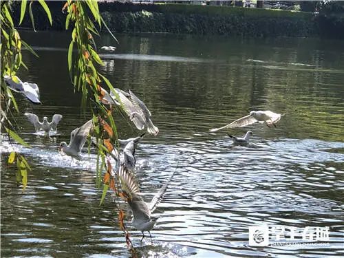 昆明文旅