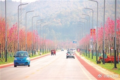 腾冲600公里“绿美公路”好看更好走