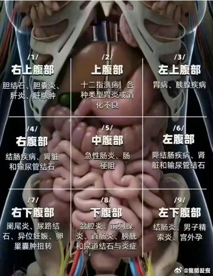 不同部位肚子疼可能代表什么
