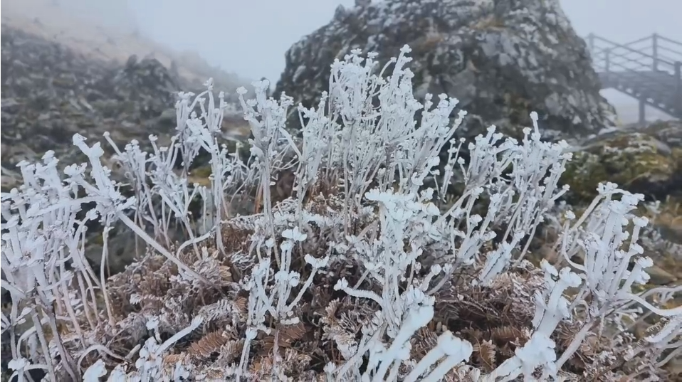 春城晚报