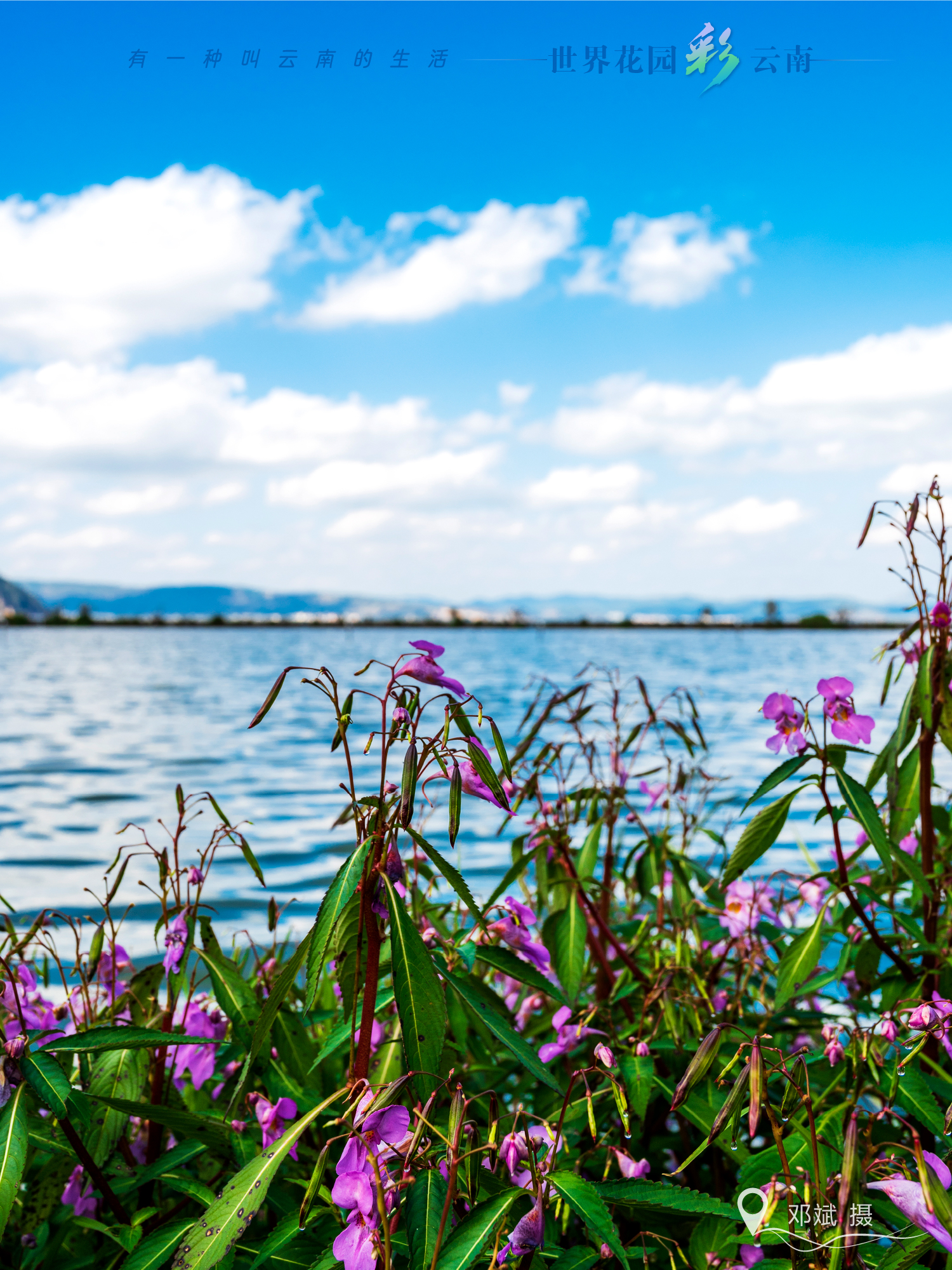 云南省文化和旅游厅