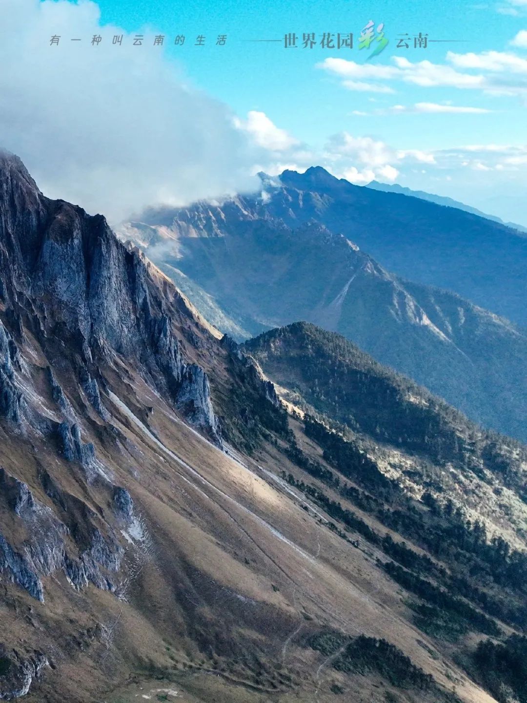 云南省文化和旅游厅