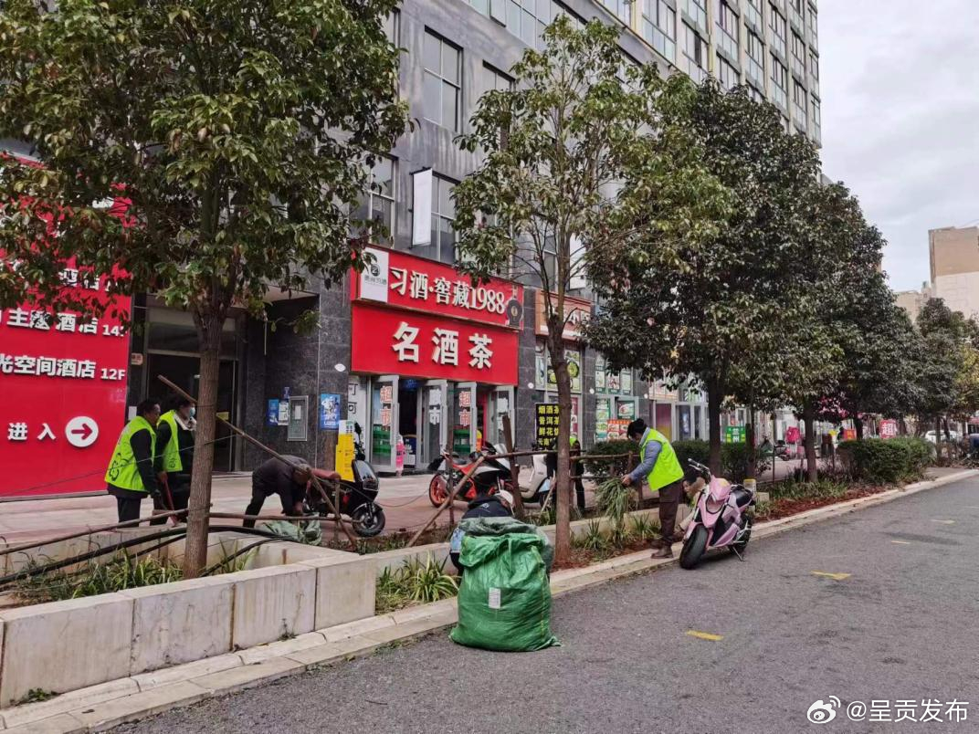 谊康社区开展“为植绿喝彩 与护绿同行”活动