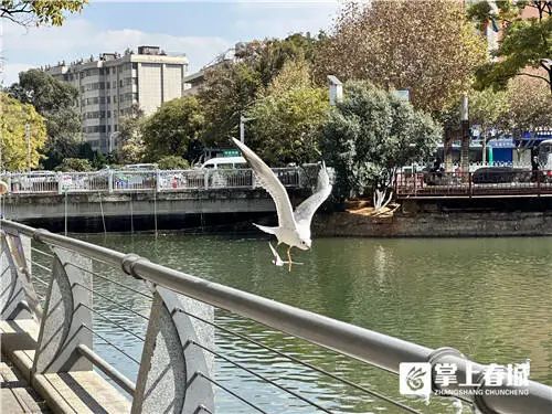 昆明文旅