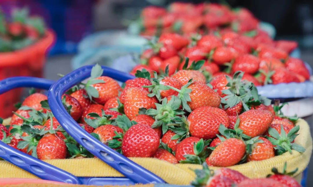 晋宁诗意的栖居地