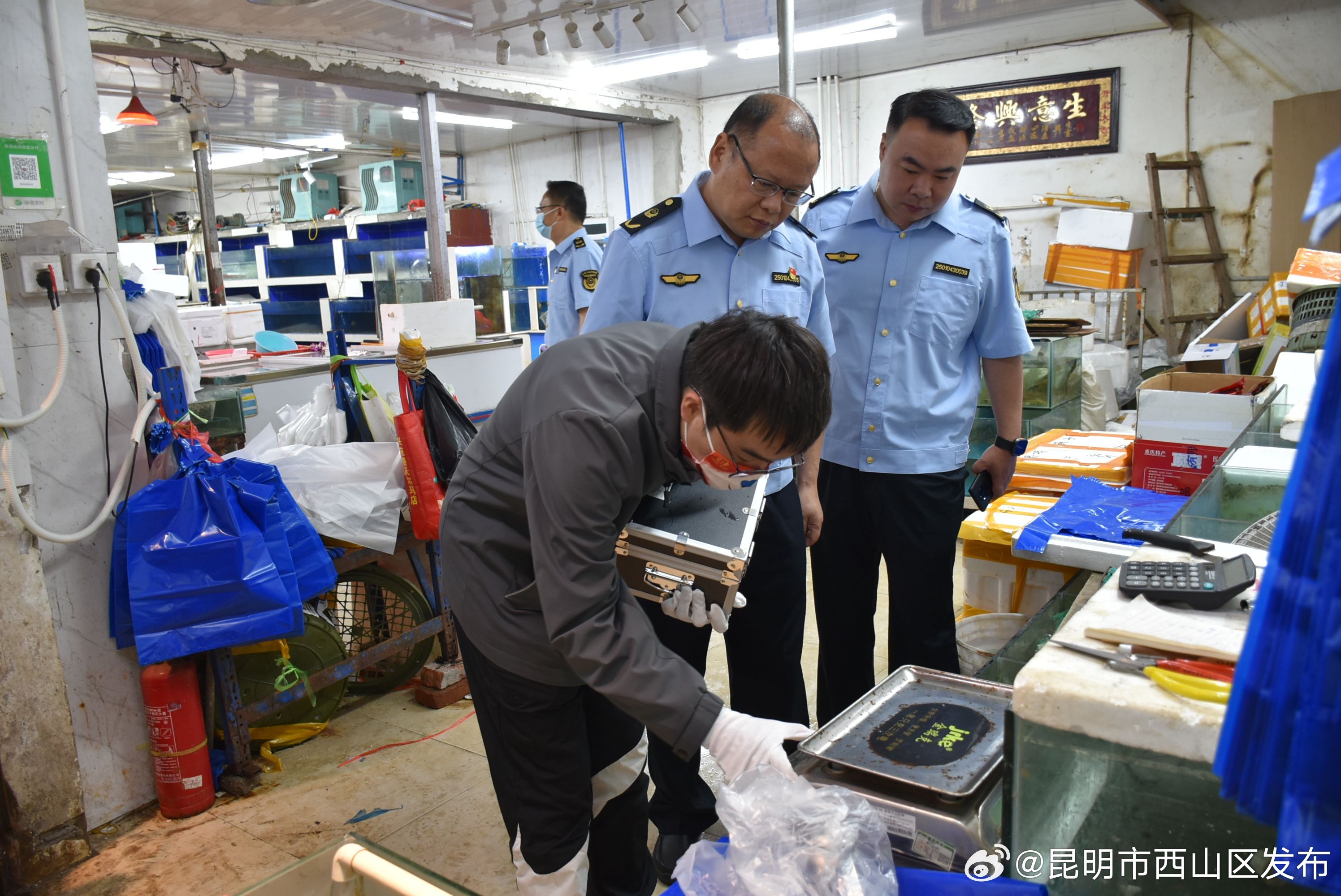 昆明市西山区发布