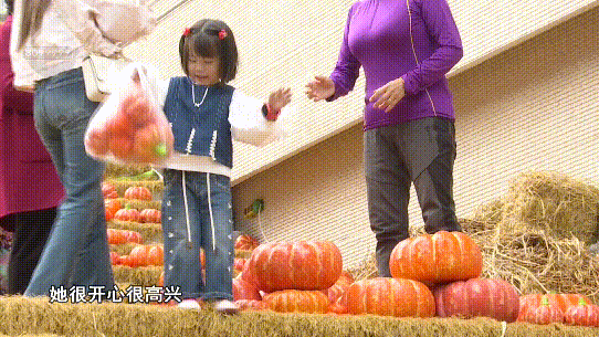 昆明寻甸发布