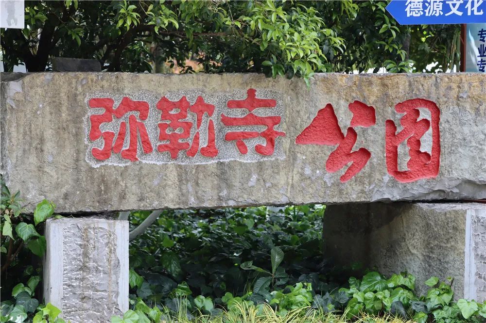 昆明最松弛感的City Walk在哪？来这里，过慵懒且有品的周末！_http://www.mainten.cn_cns_第5张
