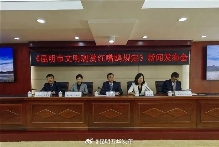 昆明首创 明起实施！不文明观鸥将被处罚