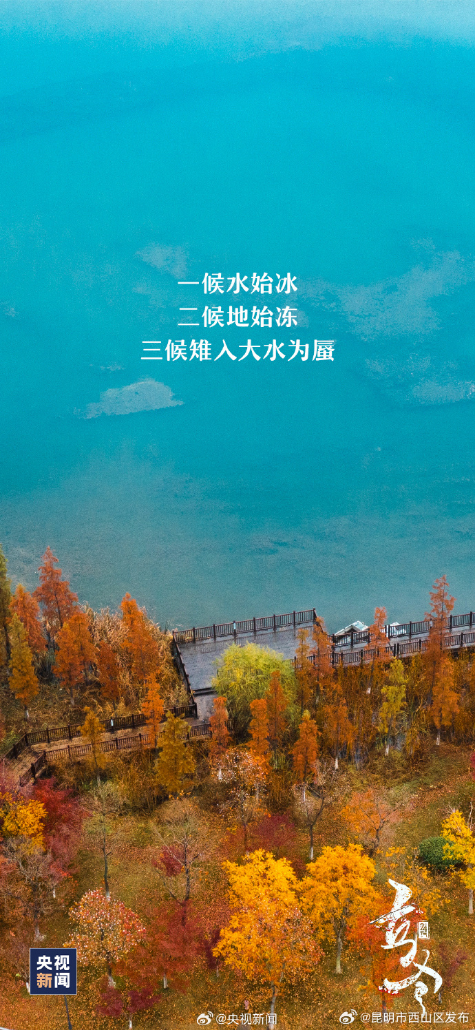 昆明市西山区发布