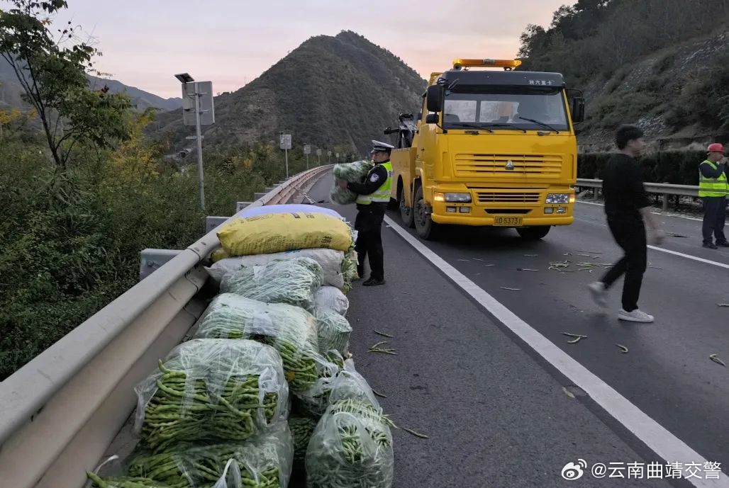 货车翻个“底朝天”芸豆满地跑 交警变身“搬运工”_http://www.mainten.cn_cns_第3张