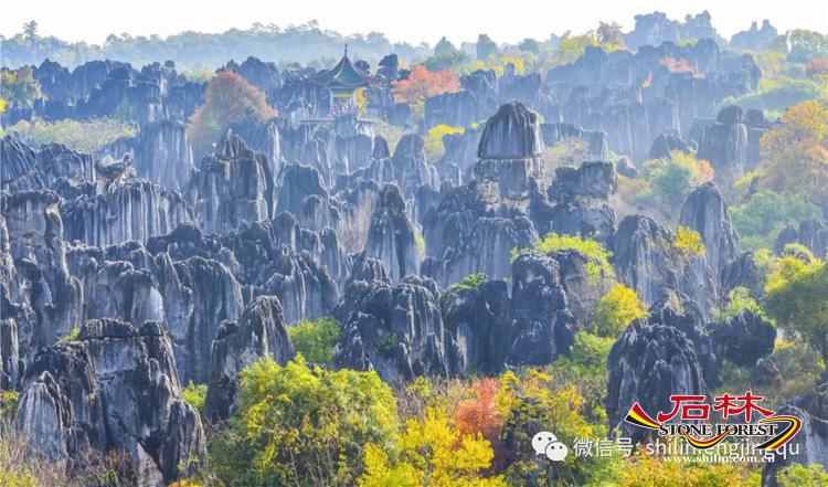 心驰神往：下一站，石林_http://www.mainten.cn_cns_第11张