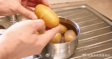发芽食物到底能不能吃