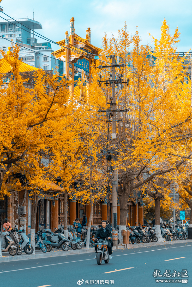 昆明信息港微博