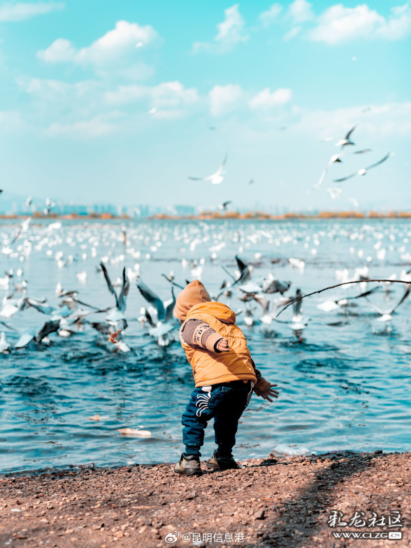 昆明信息港微博