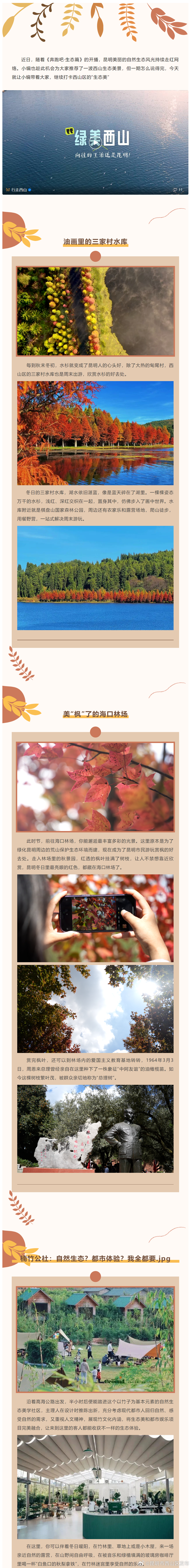 昆明市西山区发布