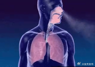 7类人要早点查肺功能