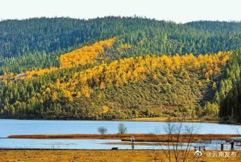 普达措：层林尽染 美不胜收