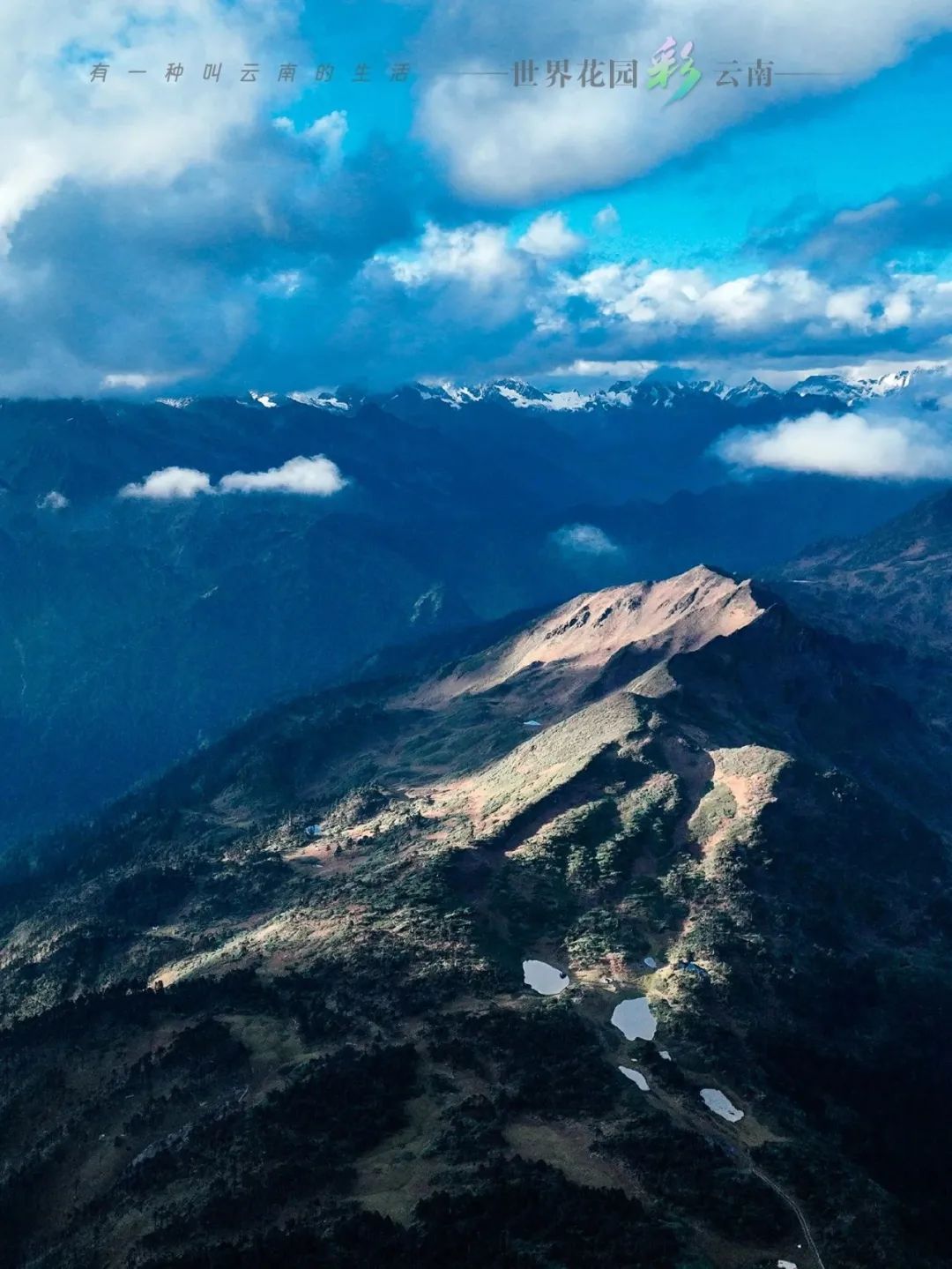 云南省文化和旅游厅