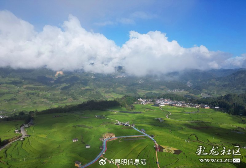 昆明信息港微博