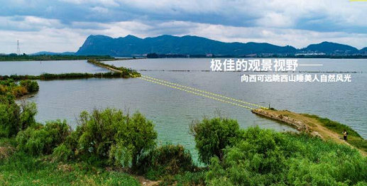掌上春城微信