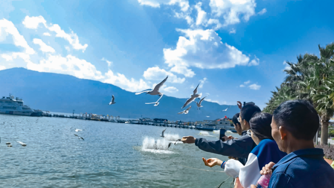 昆明西山发布