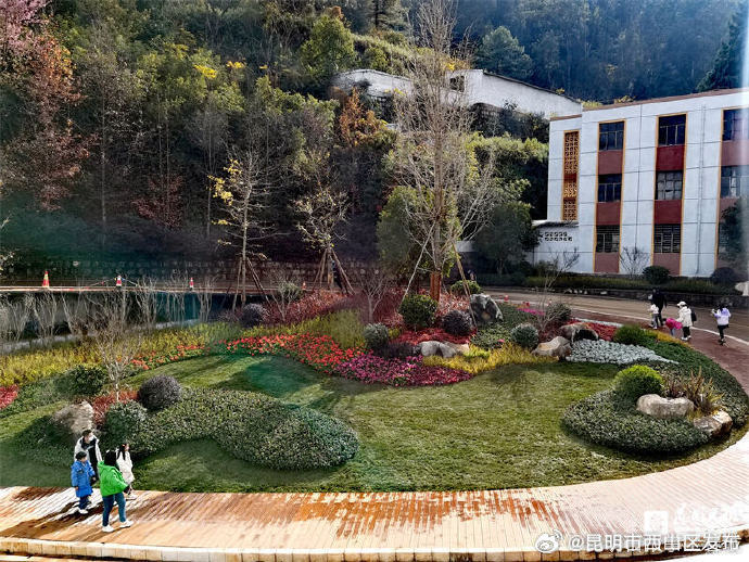 昆明市西山区发布