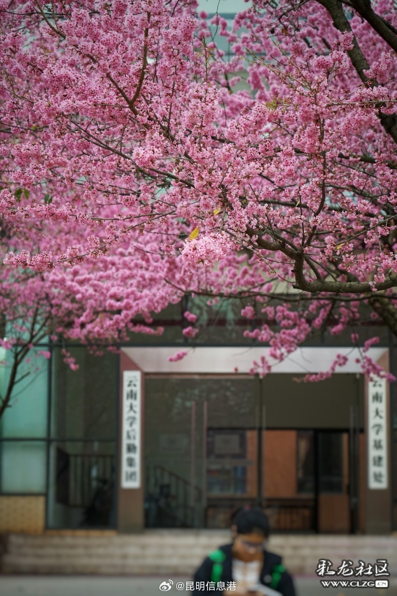昆明信息港微博