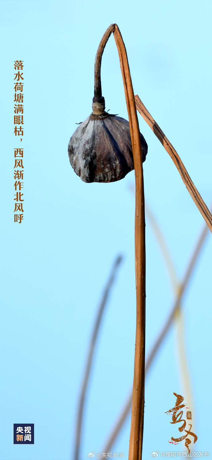 昆明市西山区发布