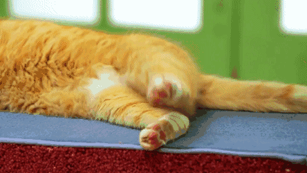 5个部位抽筋各有缓解法