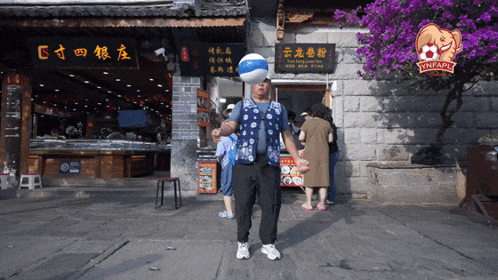 大理日报