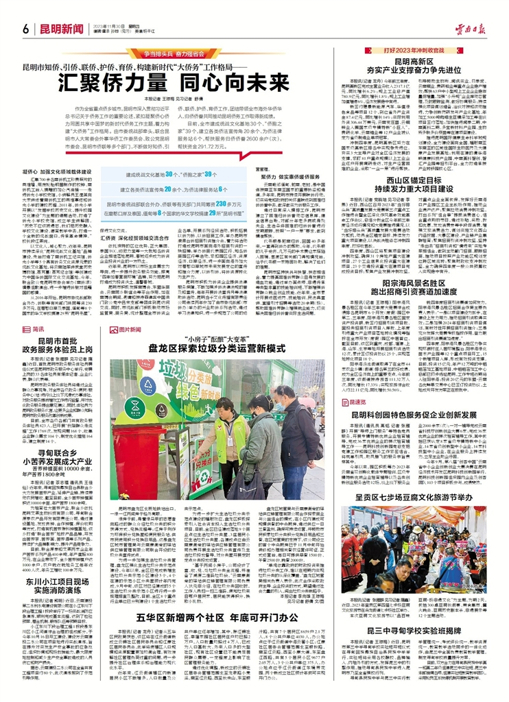 寻甸联合乡小苦荞发展成大产业